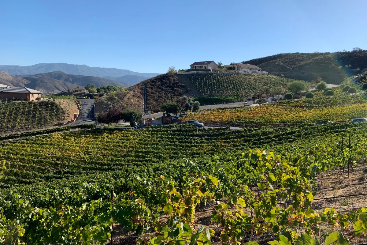 California Temecula 1200X800