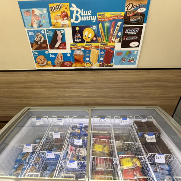 Ice Cream Chest 600X600