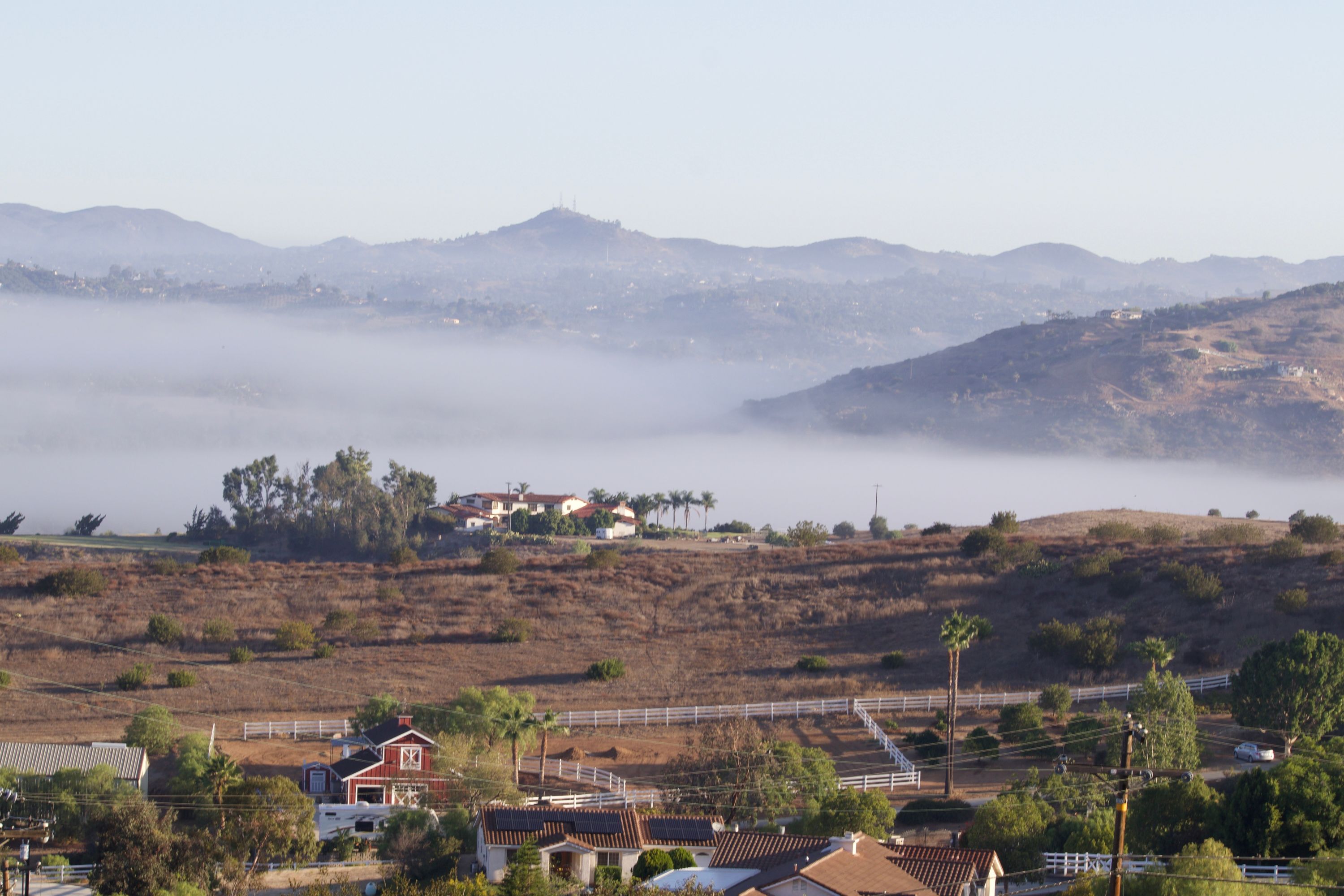 Bonsall Shutterstock 2535332103